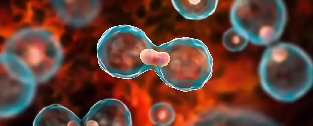 Hidden Residual Cancer Behind Clear Scans Linked to Poorer Outcomes: Research
