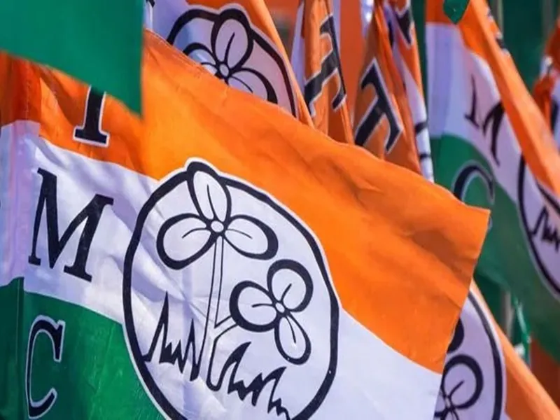 Trinamool Congress to Establish New Health Professionals' Body Following RG Kar Protests