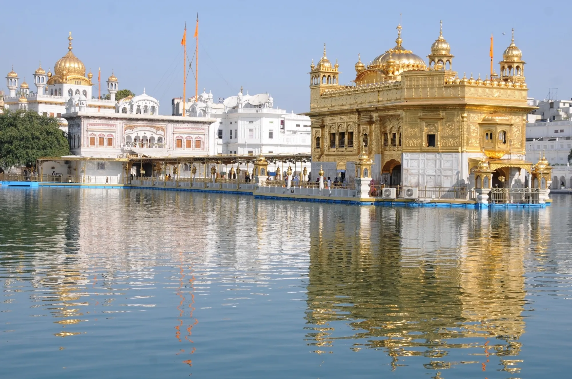 Man Armed with Rod Attacks Worshippers at Golden Temple, Taken into Custody