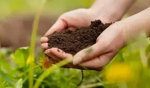 Rwanda Unveils Innovative Agricultural Strategy for Resilient and Sustainable Food Systems