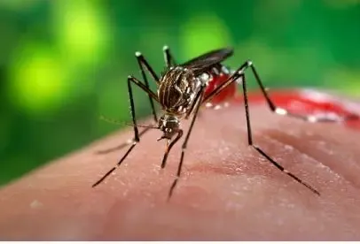Rwanda to Implement Household Testing for Malaria Prevention