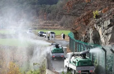 South Korea Reports New Cases of Avian Influenza, Total Reaches 46