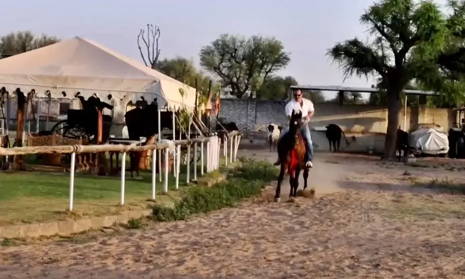 Saif Ali Khan Returns to Horse Riding After Recovery from Stabbing Incident