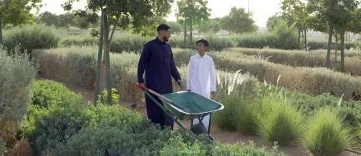Saudi Arabia Unveils Five Key Initiatives to Boost Afforestation