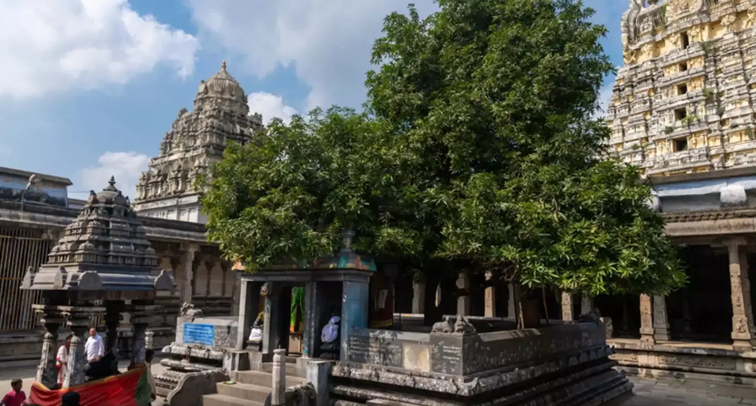 क्या 600 ईस्वी के इस मंदिर में पृथ्वी तत्व के रूप में होती है महादेव की पूजा और माता पार्वती ने यहीं दी थी परीक्षा?