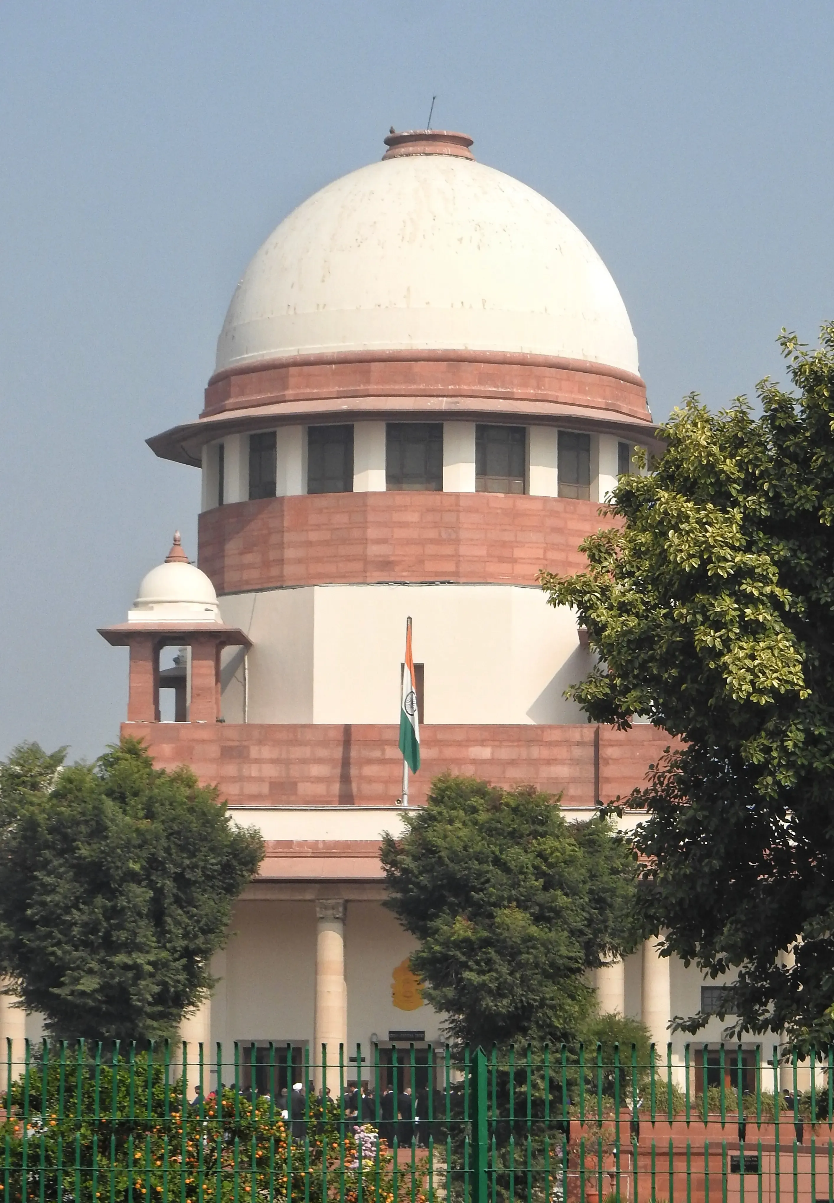 Supreme Court Reviews PIL for Public Awareness Initiative on Snake Bites