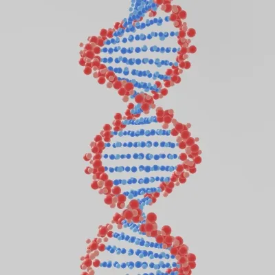 Researchers Discover the Impact of Early Life Experiences on Genes and Brain Health