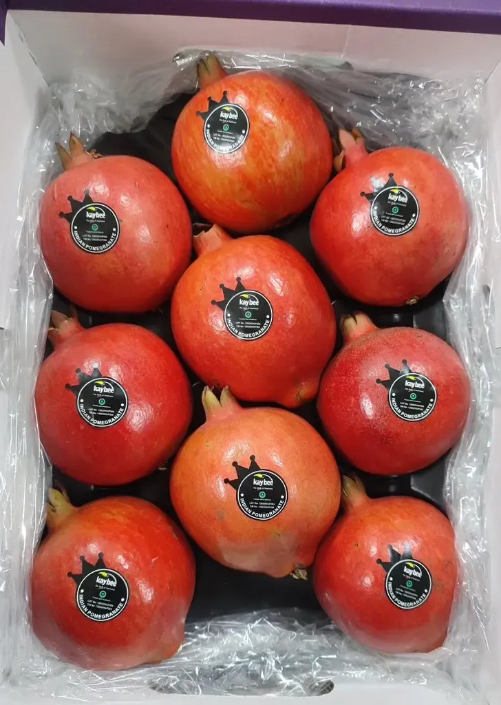 First Sea Shipment of Indian Pomegranates to the US Marks a New Era for Farmers: Piyush Goyal