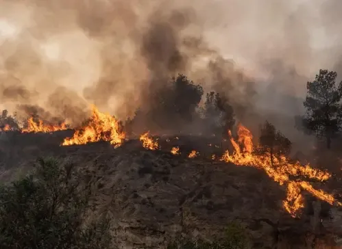 Is Serbia Facing an Unprecedented Wildfire Crisis?