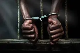 Were Seven Bangladeshi Nationals Arrested in India for Using Fake Documents?