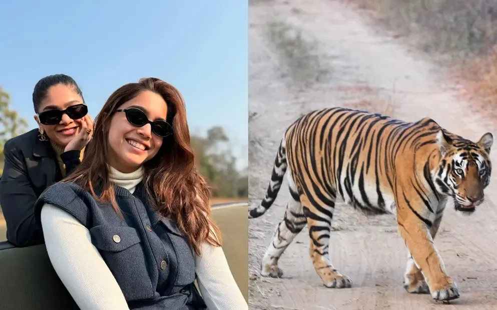 Sharvari Celebrates Christmas Surrounded by Nature, Stars, and Tigers