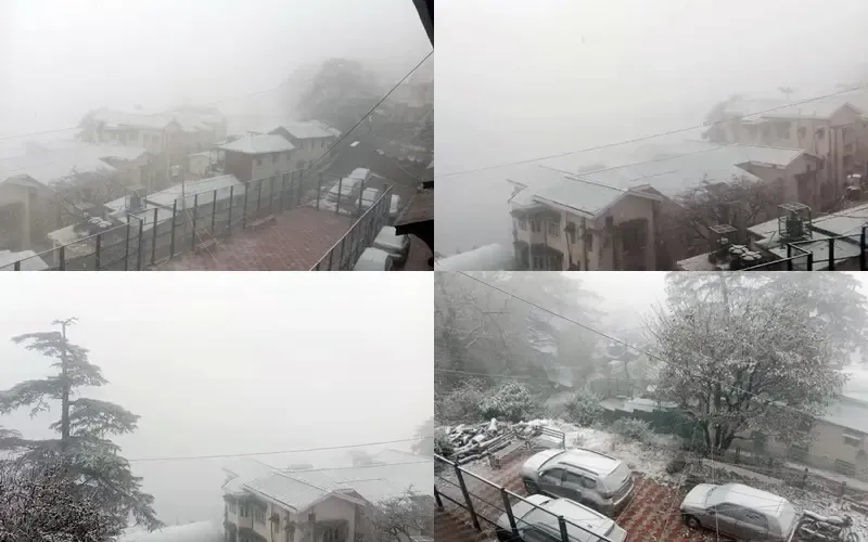 Mild Snow Graces Shimla, Reviving Hopes for a White Christmas