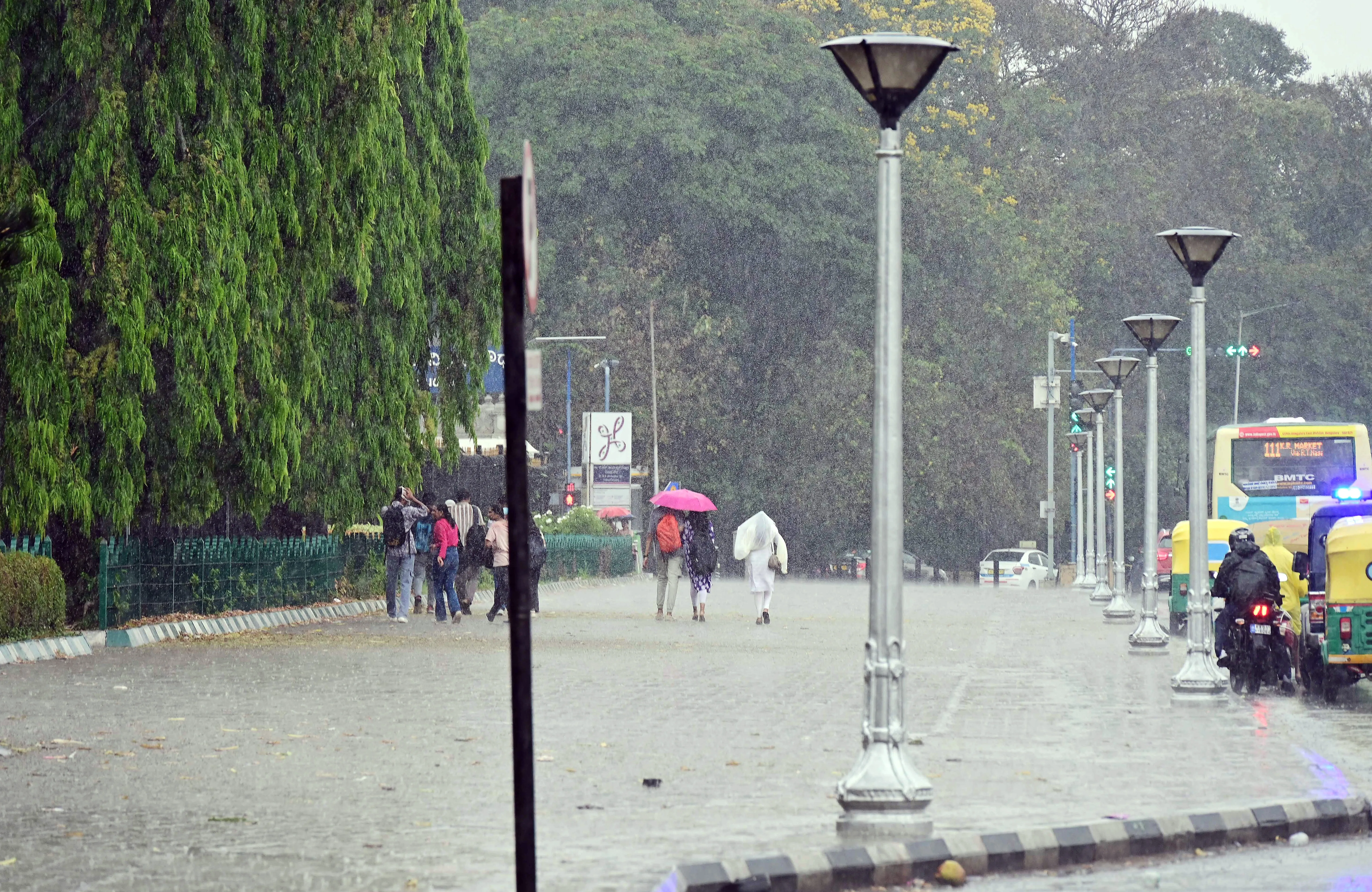 Are Showers in Chennai the Much-Needed Break from the Heat? Rainfall Alert Issued for Tamil Nadu Districts Tomorrow