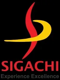 Did Sigachi Industries Experience a 21% Decline in Q4 Net Profit?