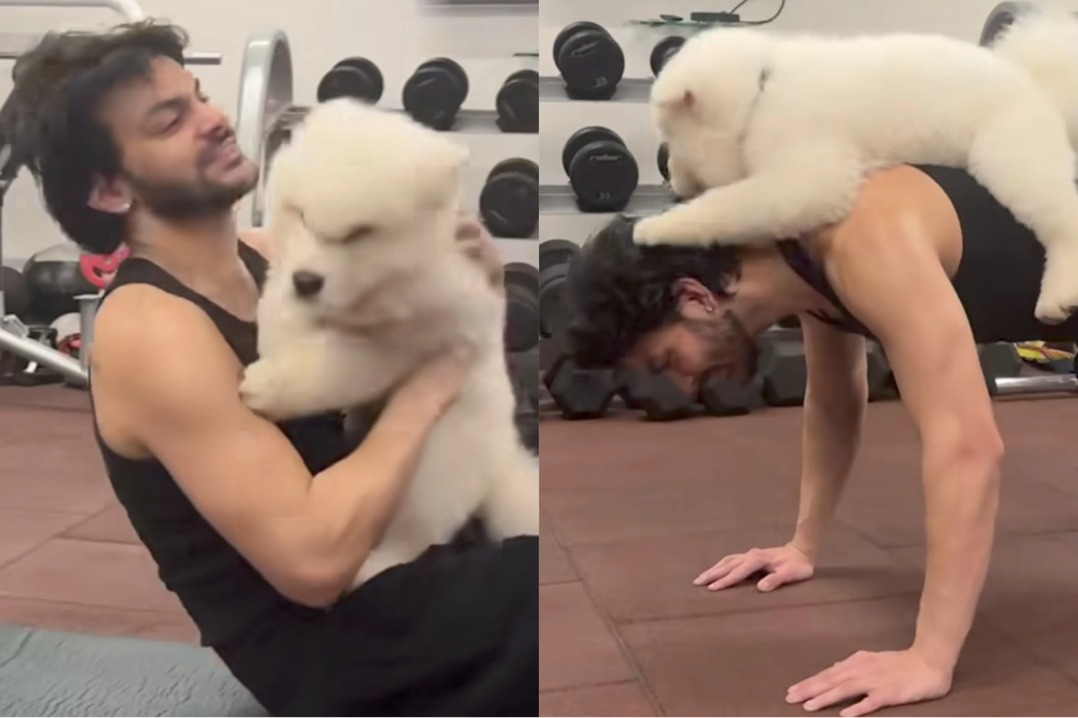 'Sky Force' star Veer Pahariya embraces pet parenthood at the gym