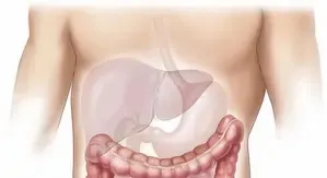 Prioritize Sleep and Ditch Junk Food for Liver Wellness