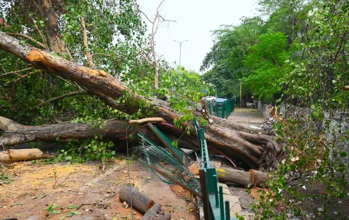 Intense Winds and Storm Affects New Delhi Overnight