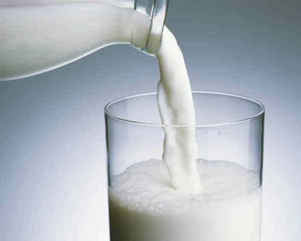Study Shows Small Milk Fat Globules Foster Beneficial Bacteria Growth