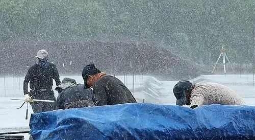 Is South Korea Prepared for Another Wave of Heavy Rain?