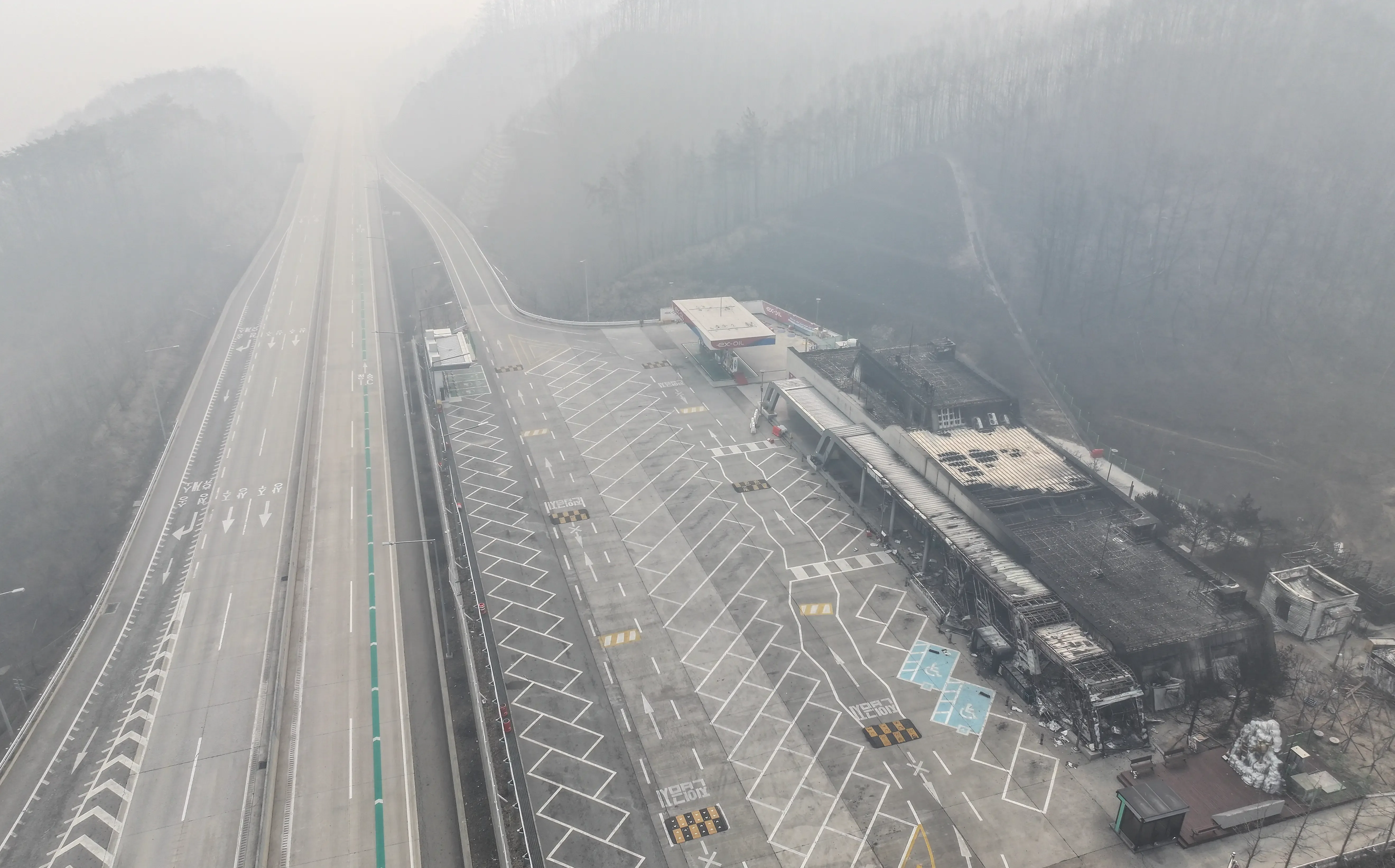 South Korea: Wildfire Casualties Rise to 26 as Firefighters Combat Unprecedented Blazes