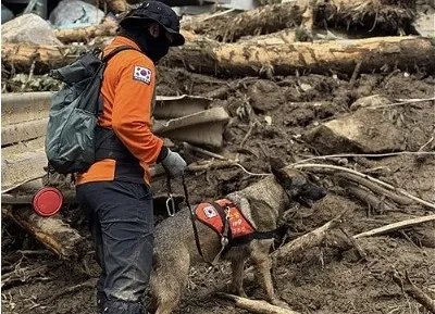 What is the Current Death Toll in South Korea After Heavy Rains and Landslides?