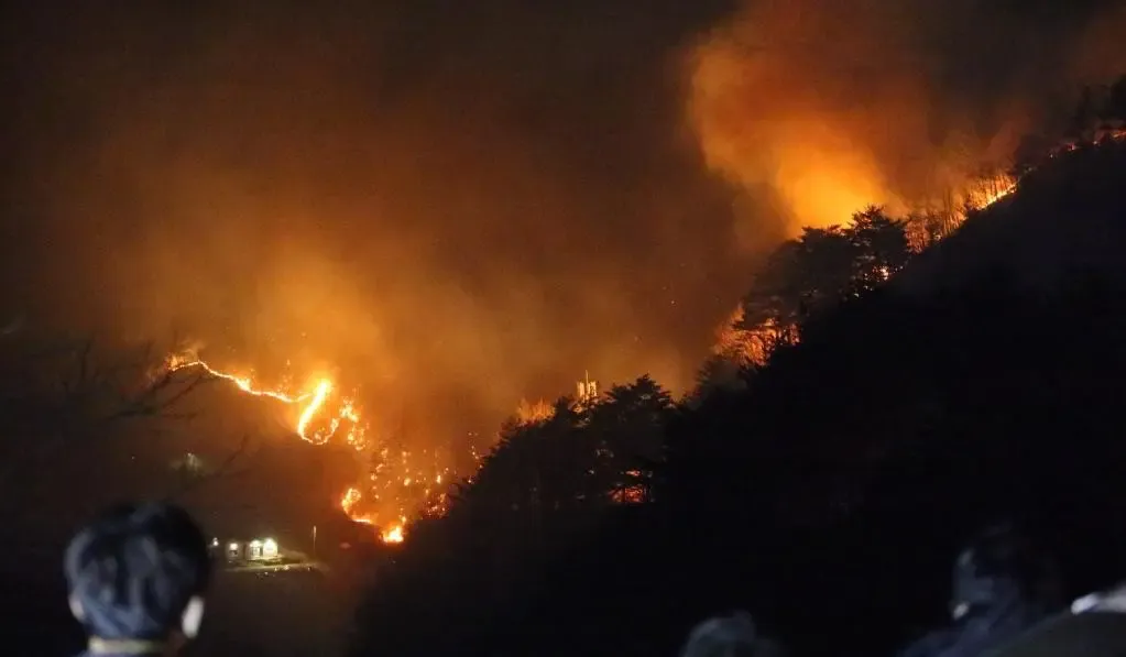 South Korea: Four Lives Lost as Wildfires Sweep Southeastern Region