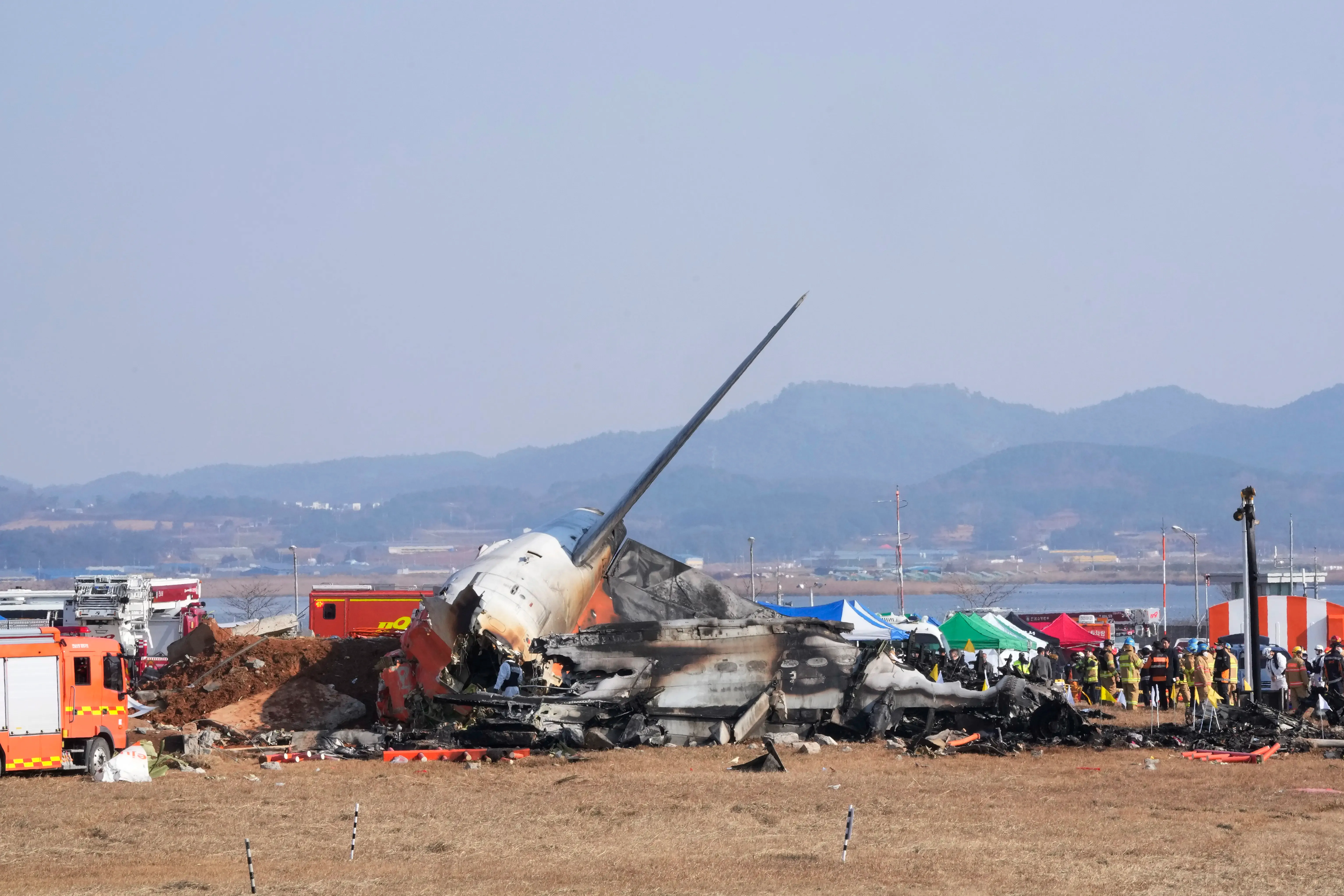 Tragic Plane Incident in South Korea: Witness Accounts of Engine Fire and Bird Collision; Casualties Rise to 127