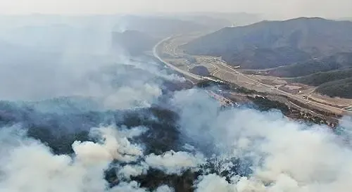South Korea: Uiseong Wildfires Escalate Out of Control