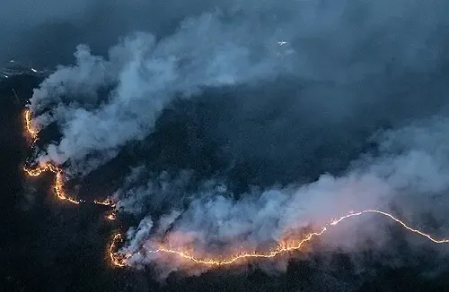 South Korean Authorities Declare Additional Counties as Special Disaster Zones Following Wildfires