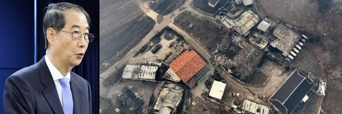 Additional Areas in South Korea Declared Special Disaster Zones After Devastating Wildfires