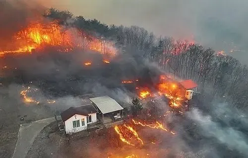 South Korean Authorities to Question Individual Linked to Devastating Wildfires