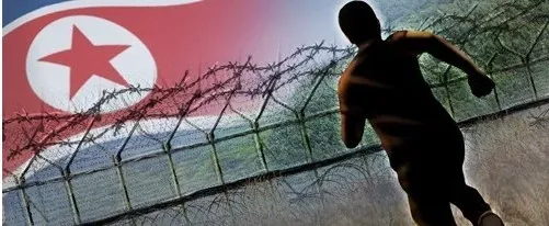 What Led to the North Korean Individual Crossing Into South Korea?