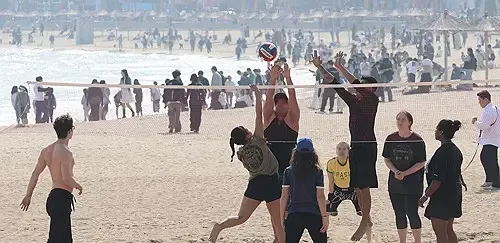 Record March Temperatures in South Korea's Southeast Amid Warm Winds