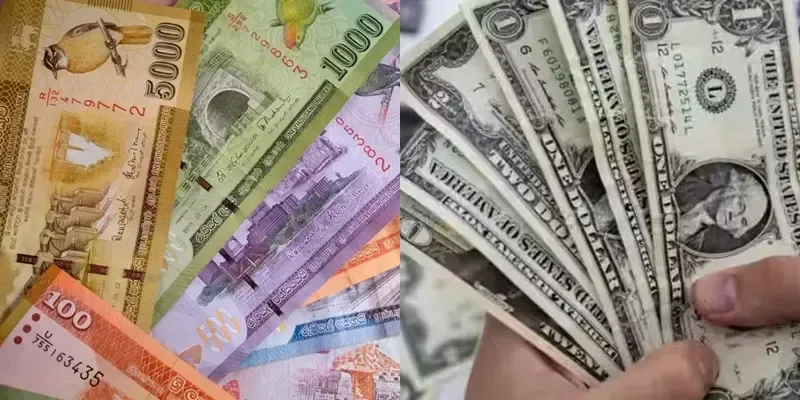 Sri Lankan Rupee Gains 11.5% Against the USD