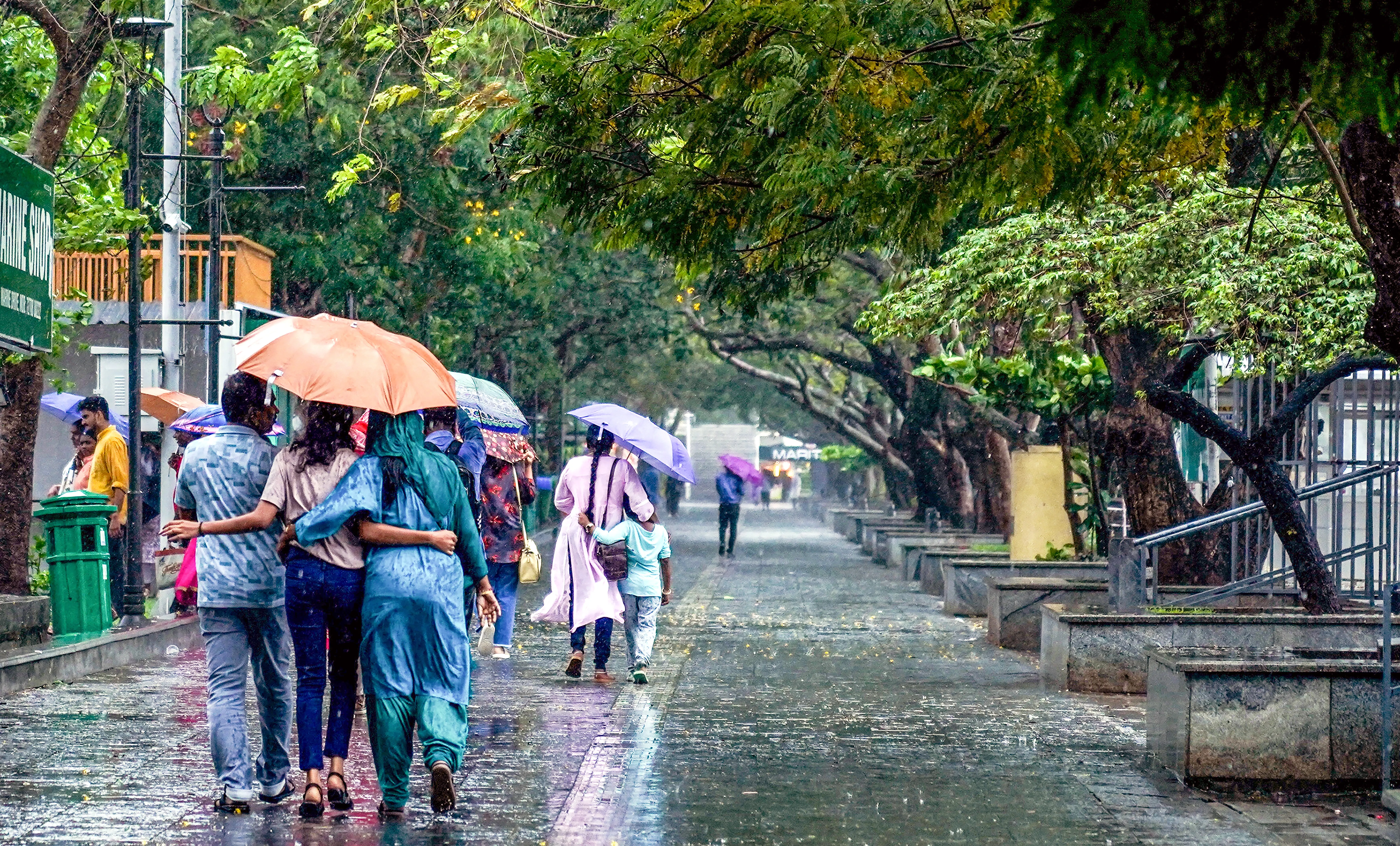 Will Storms and Rain Continue to Disrupt Life in MP and Chhattisgarh?