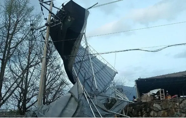Severe Winds Hit South Korea, Leading to Damage