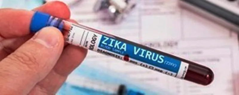 Investigation Reveals Mechanism of Zika Infection in Human Placenta Leading to Foetal Mortality