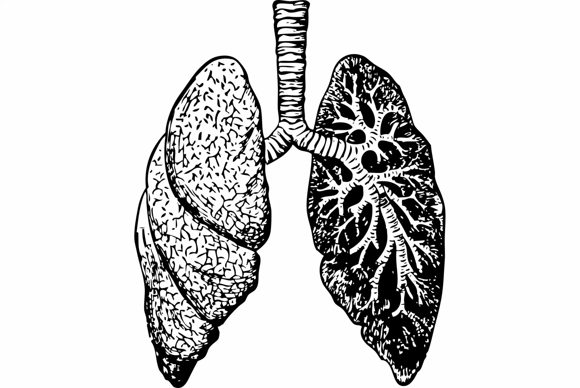 Research Discovers Ozone Therapy as a Promising New Solution for Lung Injury Caused by Sepsis