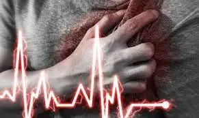 Research Reveals Hidden Muscle Fat Increases Heart Disease Risk, Independent of BMI