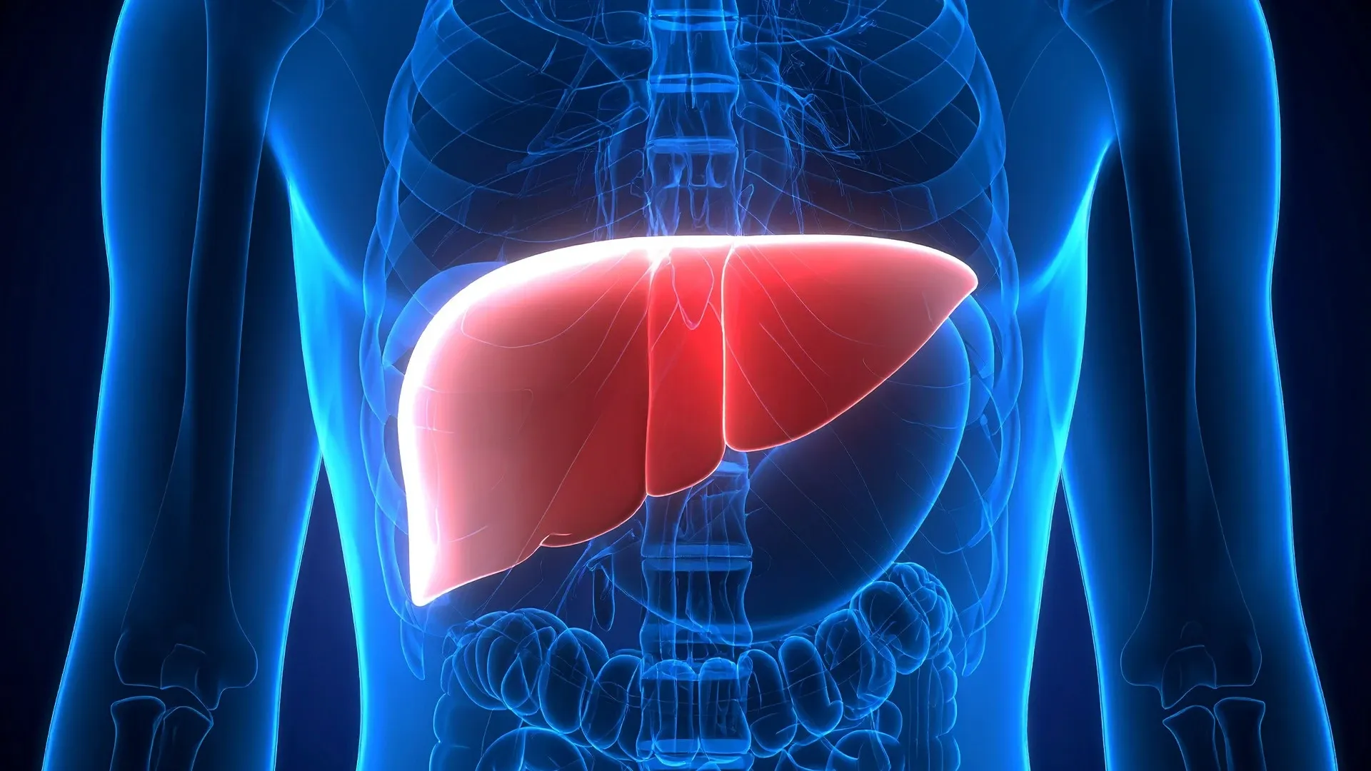Could Plastic Particles in Food and Beverages Harm Your Liver?