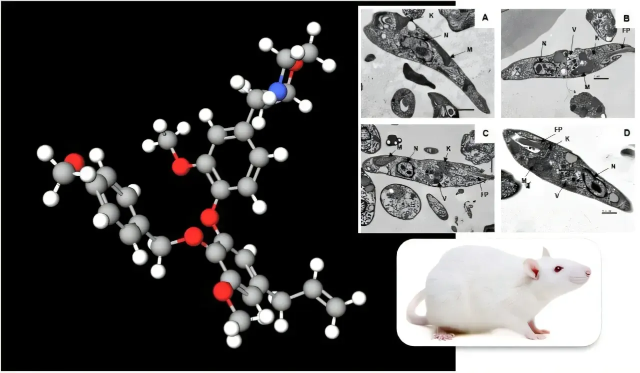 Research Indicates Brazilian Plant Compound May Hold Promise for Kala-Azar Treatment
