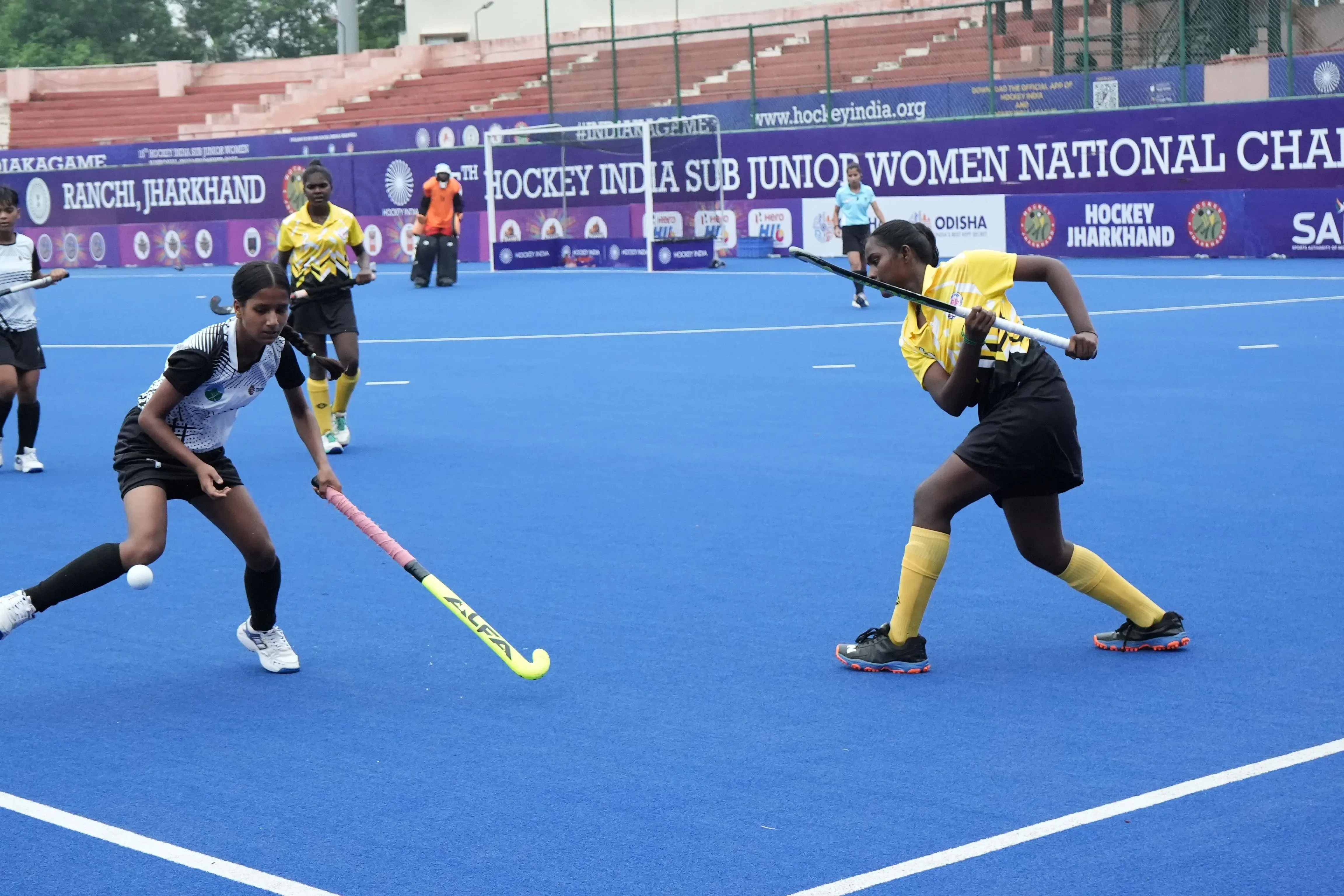 How Did Himachal Achieve Dominance Over Puducherry and Assam Triumph Over J&K?