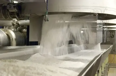 ISMA Confirms Adequate Sugar Stocks and Positive Production Forecast