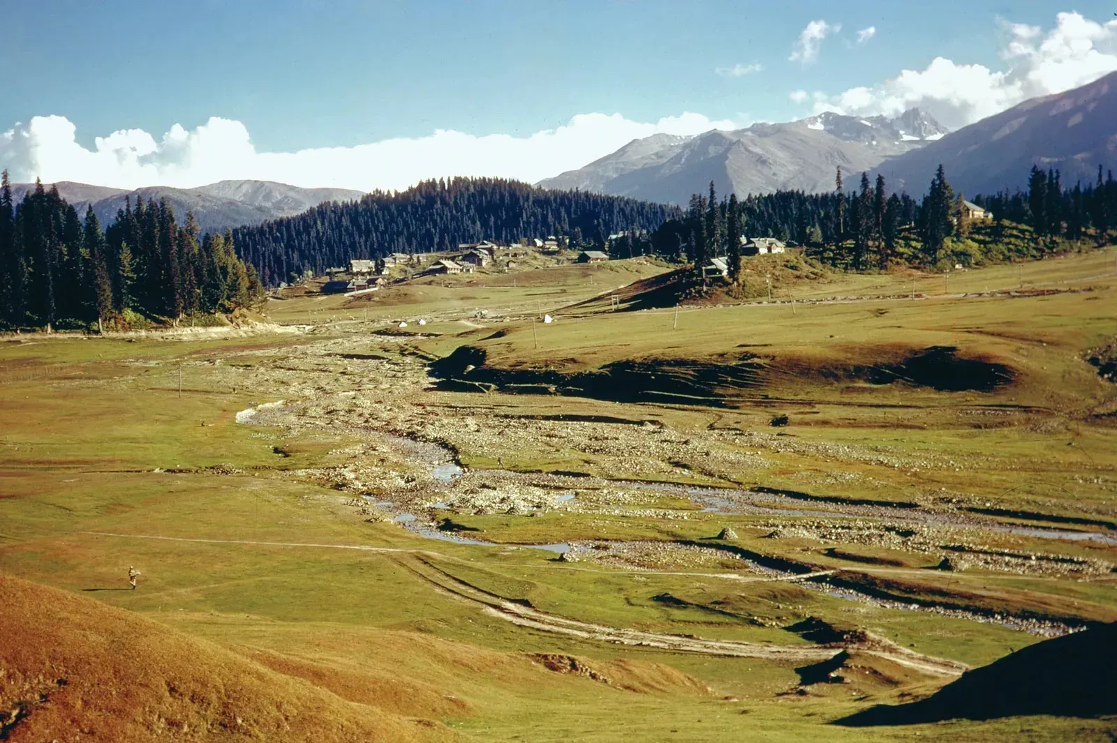 Urgent Action Required for Finalizing Land Records Digitization in J&K: Official