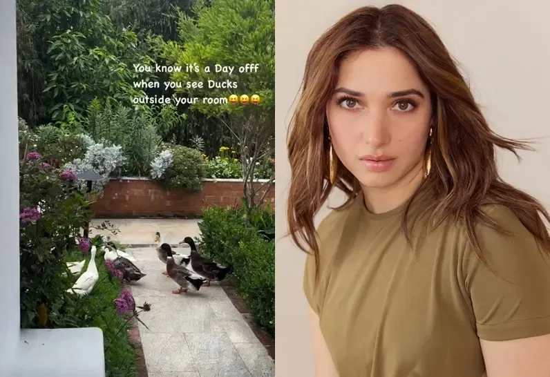 Tamannaah Bhatia Offers a Glimpse of Her Relaxing Day