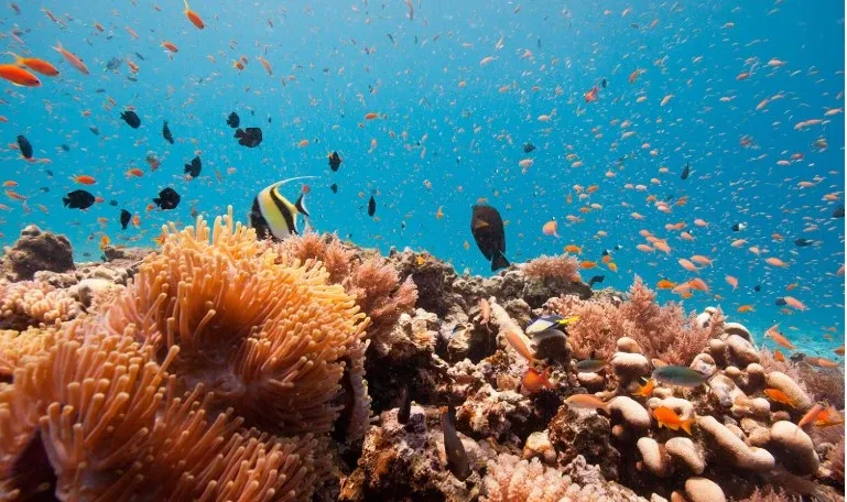 How is Tanzania Enhancing Biodiversity and the Blue Economy?