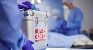Telangana Government Assigns CID to Probe Kidney Racket in Hyderabad