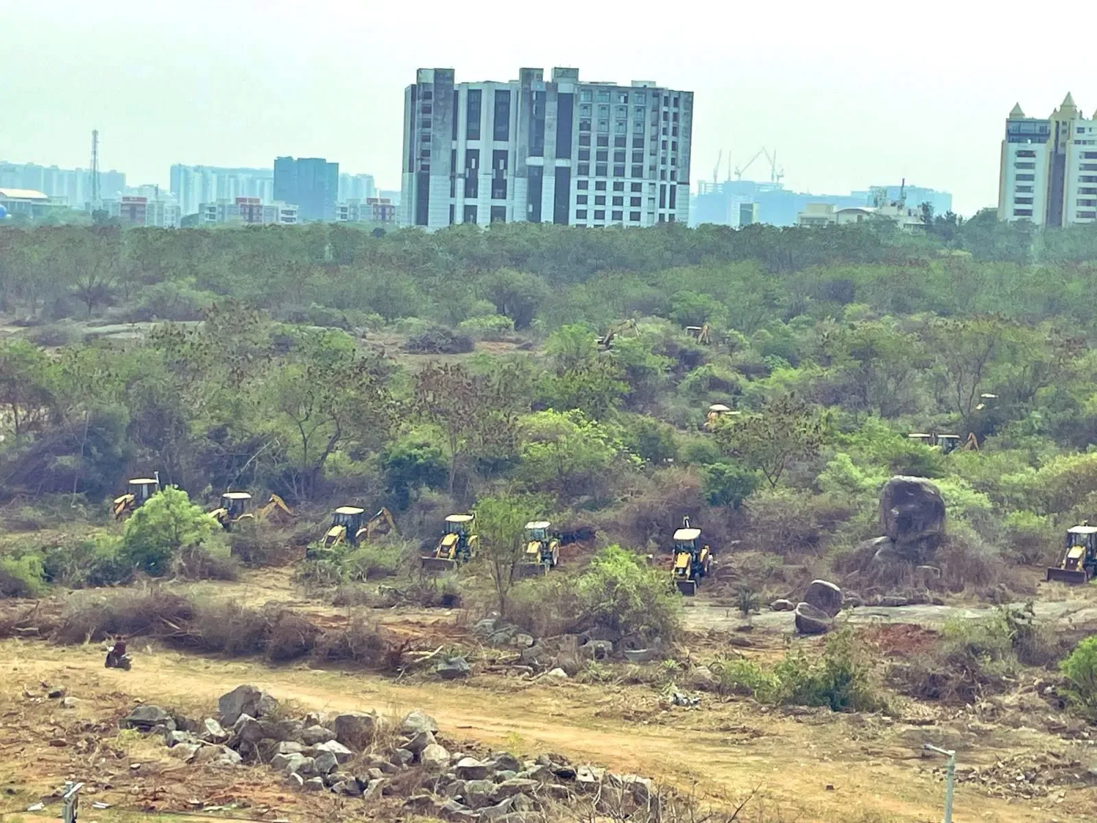 Telangana High Court Prolongs Tree Felling Ban Near HCU Until April 7