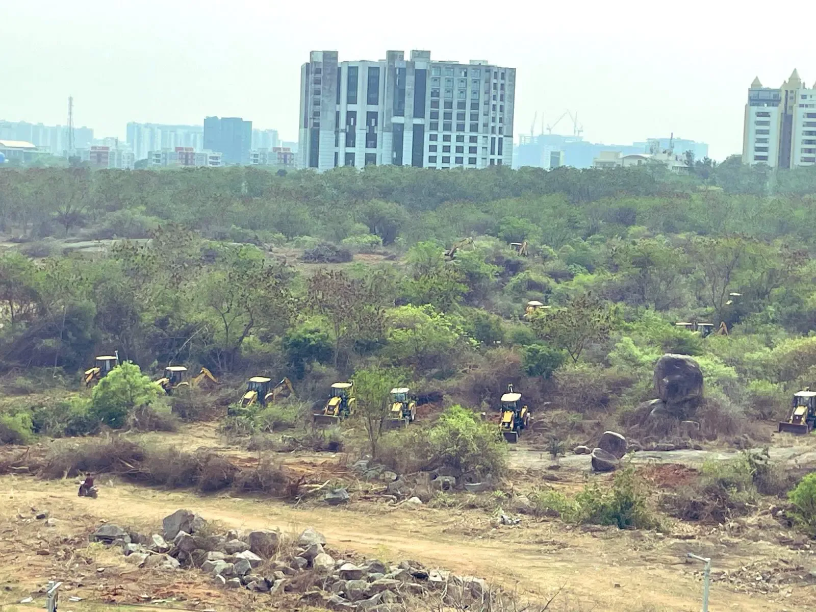 Telangana High Court Suspends Construction Near Hyderabad University