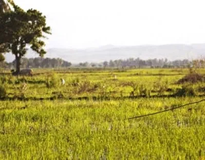 Is Tension Escalating in Telangana's Pedda Dhanwada Village Over Ethanol Plant Protests?